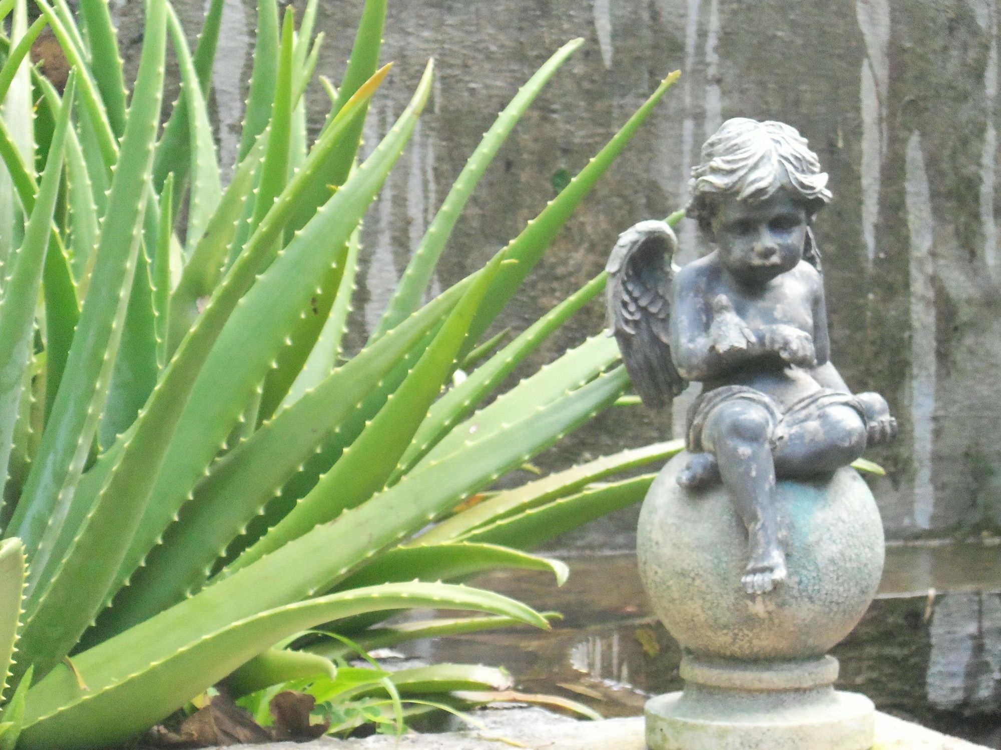 Selera Dunia Boutique Hotel Windward Side Extérieur photo